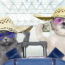 travel with pets, travel with pet, how to prepare my pet for flights, guide on flying with pet