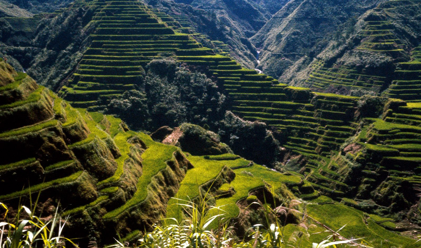 Banaue Rice Terraces in Philippines - Fun Things To Do in The Philippines