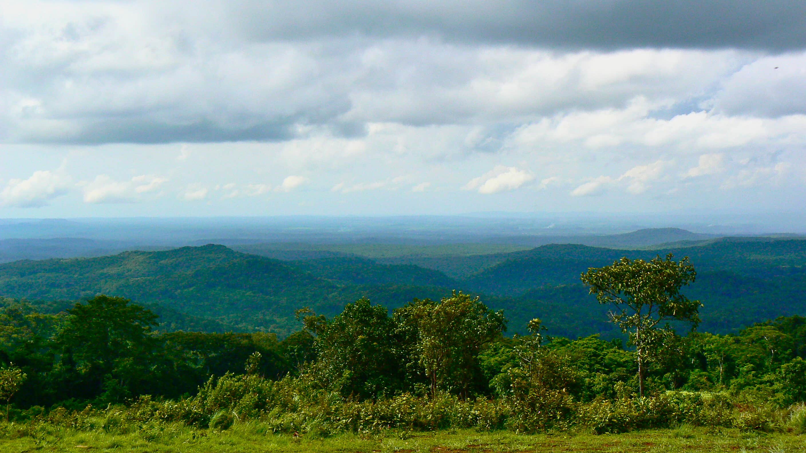 cambodia jungle tours