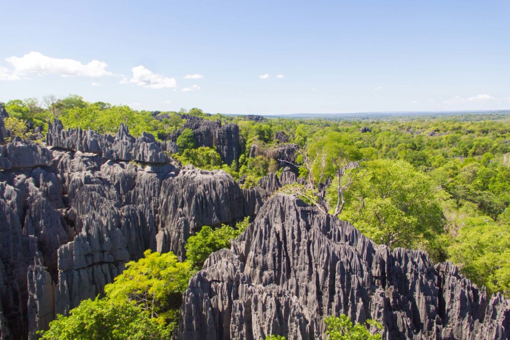 Tsingy stone forest in Madagascar - Travel to Madagascar