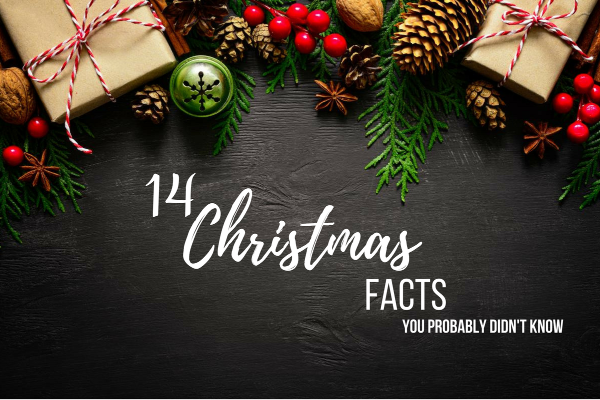 WHAT ARE THREE FACTS ABOUT CHRISTMAS visual data 7