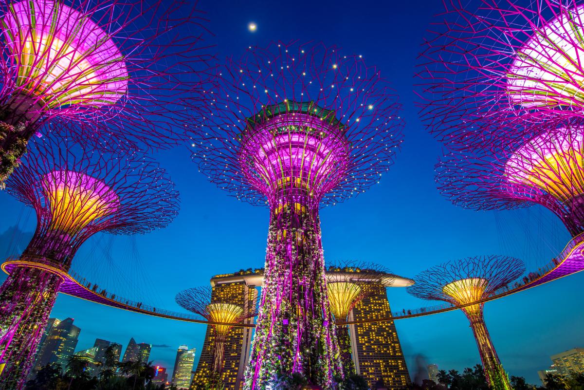 Singapore JUNE 15 , The Supertree at Gardens by the Bay on 15 June 2013