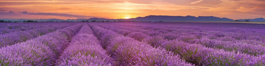 Provence Mothers Day