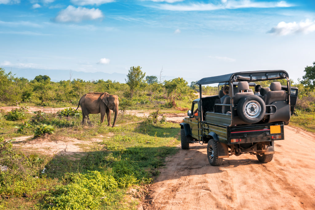 Africa Safari Vacations