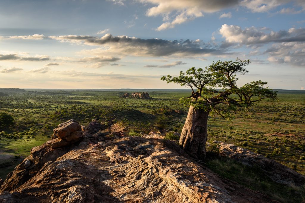 The Tuli Block in Botswana is incredibly beautiful