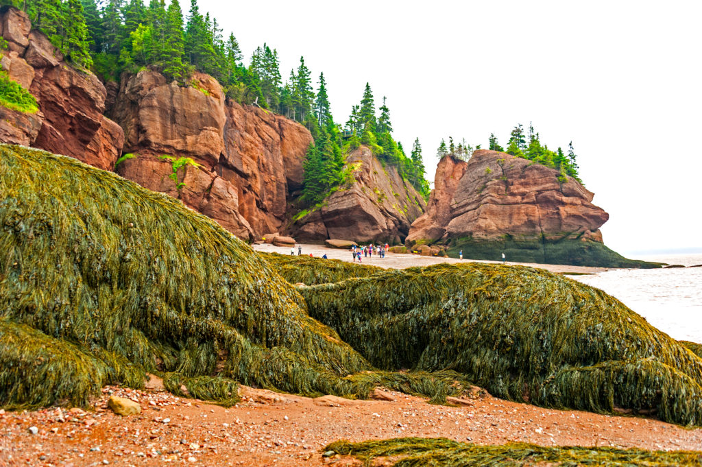 Fundy Bay has the highest tides in the world. Visit New Brunswick in Canada to see it first-hand.