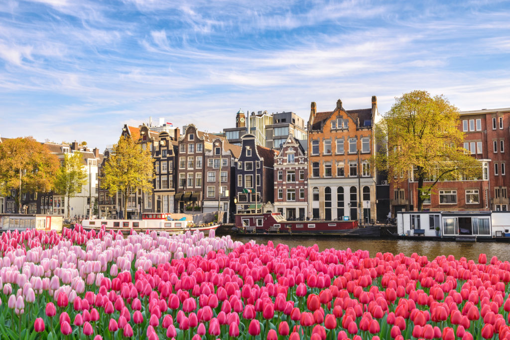 As if Amsterdam couldn't get any prettier! It's tulips galore in the spring!