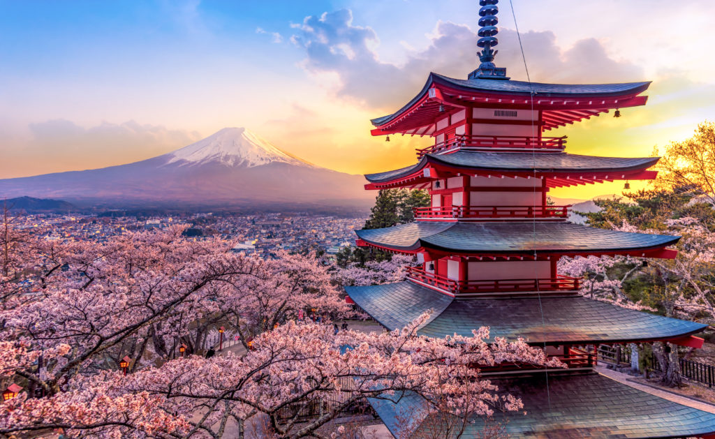 One of the top spring break destinations is Japan because of its gorgeous cherry blossoms!