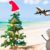 Christmas flights to Africa